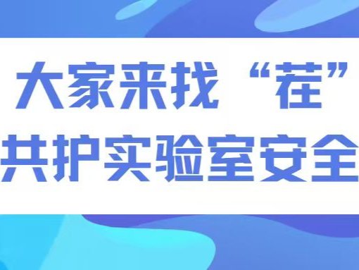导师您好
